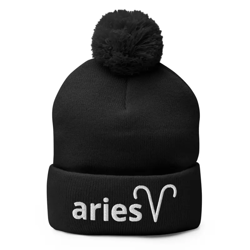 Aries Embroidered Knit Hat