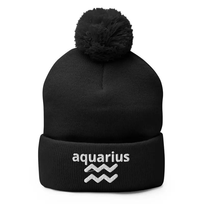 Aquarius Embroidered Knit Hat